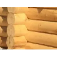 Оцилиндрованное бревно 170 мм Сосна